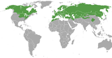 Distribusjonsområde for den europeiske veslen