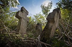 Lehliu Sat, Jud. Calarasi - "Cimitirul afurisit" 4.jpg