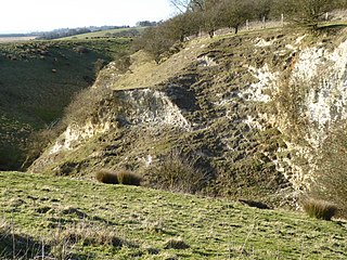 <span class="mw-page-title-main">Lenham Quarry</span> Site of Special Scientific Interest in Kent, England