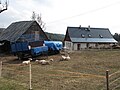 Čeština: Výběh ve Lhotce. Okres Jablonec nad Nisou, Česká republika.