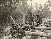 Bushmen and their dogs travel by a logging train to the
work site near Kuaotunu