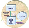 Miniatura para Psicología Humanista Universalista