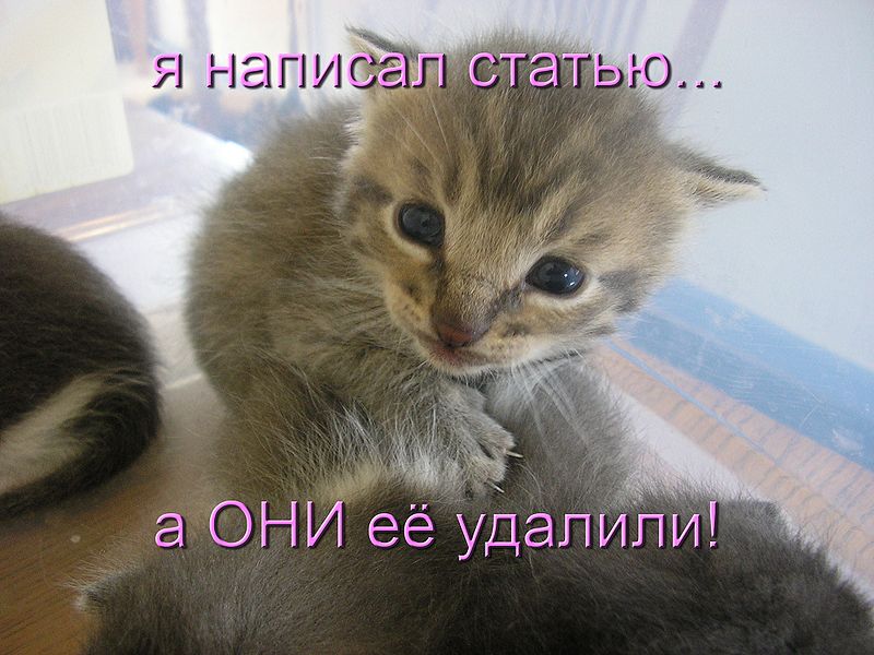 File:Lolcat2rus.jpg