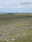 View towards Showery Tor and Little Rough Tor from Rough Tor