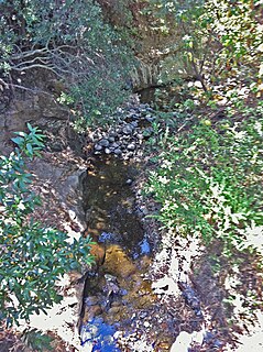 Los Trancos Creek river in the United States of America