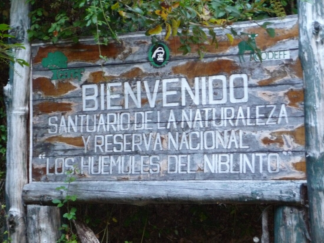 Los Huemules de Niblinto National Reserve