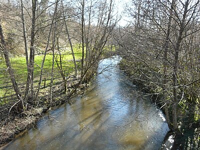 Die Loue flussabwärts der D 81, die Gemeinde Sarlande liegt rechterhand