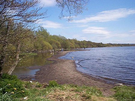 Lough Neagh at Shane's Castle - geograph.org.uk - 155427.jpg