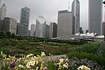 Thumbnail for Lurie Garden