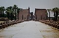 Luxor Temple Avenue of Sphinxes (9794754704).jpg