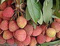 Lychee fruits at a market in West Bengal, India.