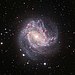 M83 - Southern Pinwheel.jpg