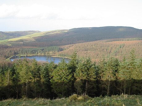 File:Macclesfield Forest+Trentabank.jpg