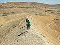 Jurassic sediments in Makhtesh Gadol, Negev Desert, Israel.
