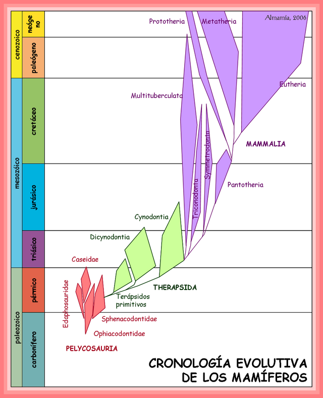 Evolución de los mamíferos - Wikipedia, la enciclopedia libre