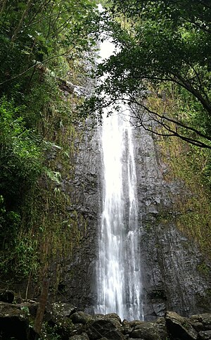 Manoa Falls