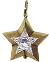 Mareşal-Star small.jpg