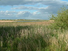 Marton Mere