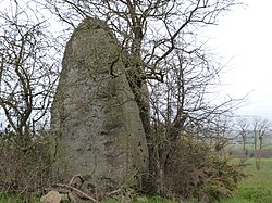 Szemléltető kép a Saint-Mirel-i Menhirs cikkről