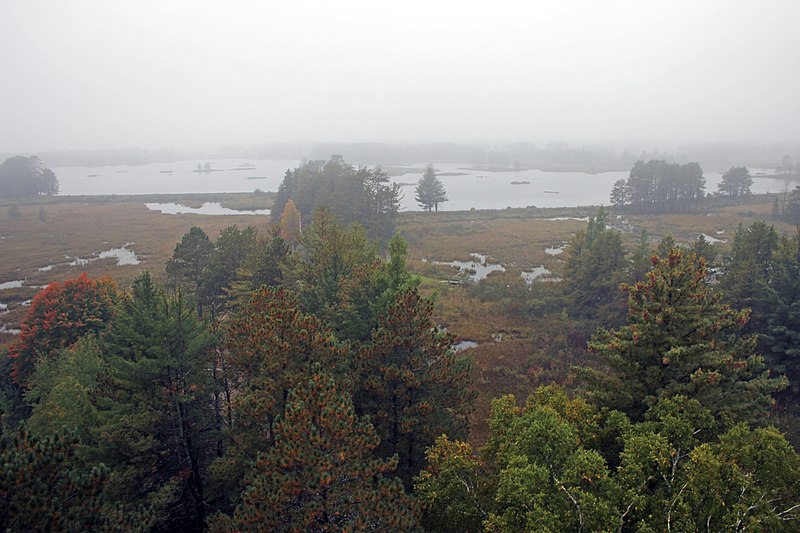 File:Misty day at Seney National Wildlife Refuge (15461049125).jpg