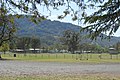 English: Wilson Memorial Park at Murrurundi, New South Wales