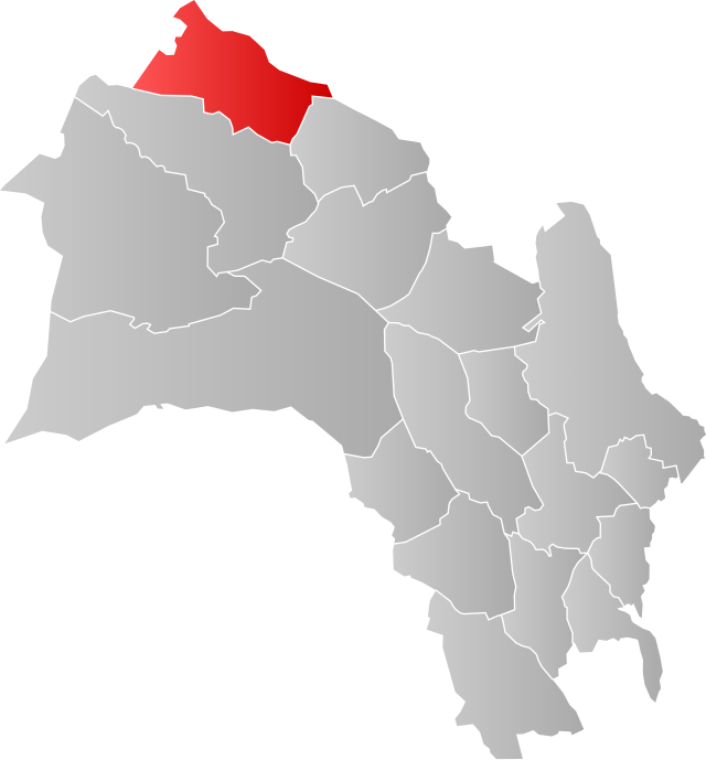 Lage der Kommune in der Provinz Buskerud