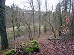 Naturschutzgebiet Weltersbachtal