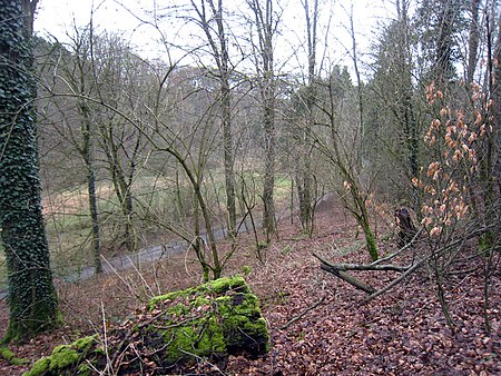 Naturschutzgebiet Weltersbachtal