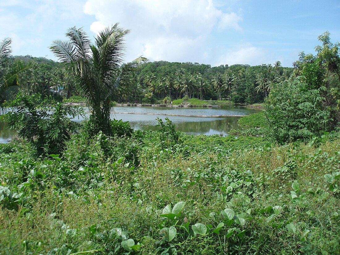 Laguna di Buada