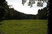 Nienburger Bruch (Naturschutzgebiet)