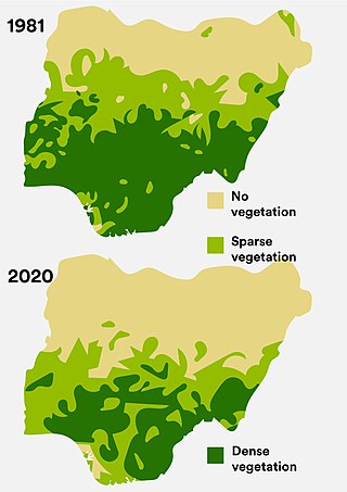 <span class="mw-page-title-main">Deforestation in Nigeria</span> Lack of forestation in Nigeria