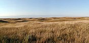 North Dakota Native Prairie.jpg