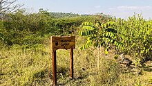 Nyandungu Urban Wetland Eco-Tourism Park medicinal garden Nyandungu Urban Wetland Eco-Tourism Park medicinal garden 01.jpg