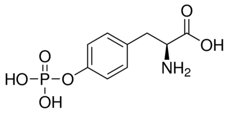 O-Phosphotyrosine