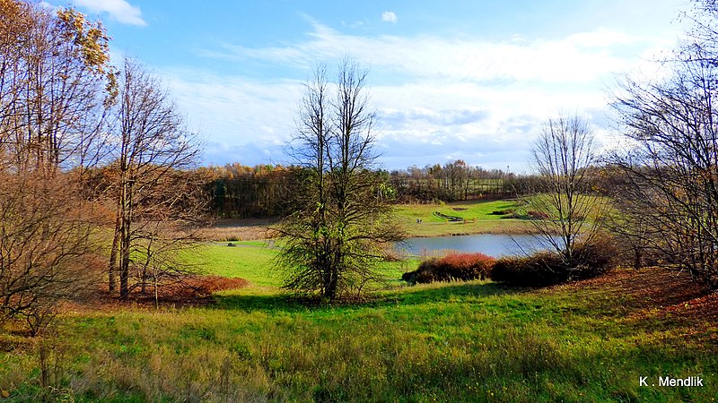 File:Ogród Botaniczny w Myślęcinku, Bydgoszcz, Polska - panoramio (170).jpg