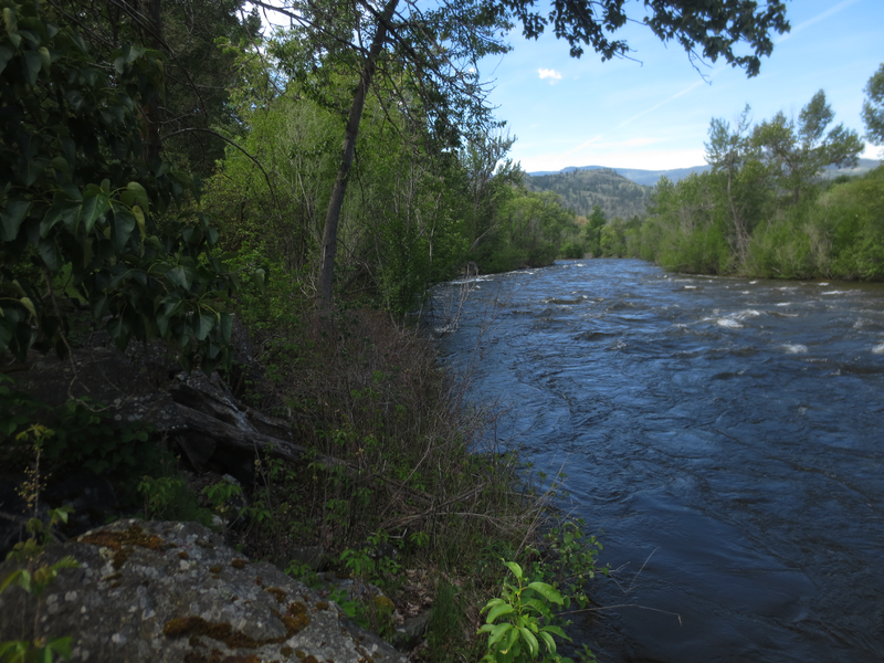 File:Okanagan River at Inkaneep Provincial Park swelled with the snow melt of 2017.png