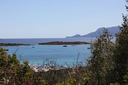 Olbia - Île du Porri (01) .JPG