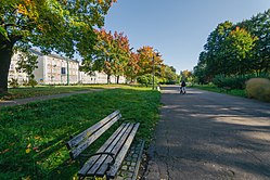 Sosnowiec: Iom pri la urbo, Historio de la urbo, Muzeo en Sosnowiec