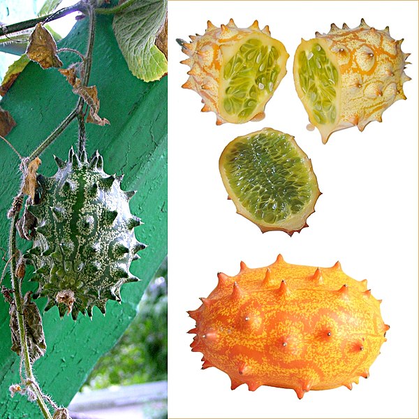 File:Owoce Kiwano.jpg