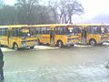 Школьныя аўтобусы ПАЗ-4234 нацыянальнага праекта «Адукацыя»