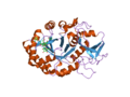 Thumbnail for File:PDB 2dsz EBI.png