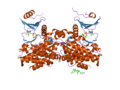 Миниатюра для Файл:PDB 2pui EBI.png