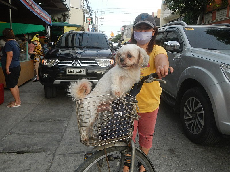 File:Pag-Asa (Poblacion), Obando, Bulacan 24.jpg