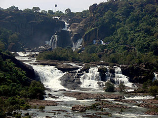 <span class="mw-page-title-main">Agasthiyar Falls</span> Waterfall in Tirunelveli district, Tamil Nadu