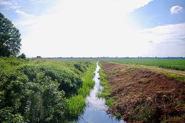 Ditch No. 70, a drainage ditch near Bragg City