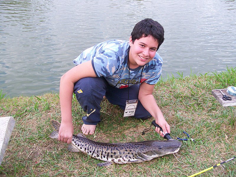 File:Pescadorpintado.jpg