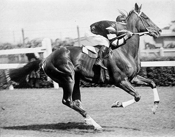 Phar Lap 1929 winner – Jim Pike