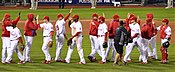 A group of men in white baseball uniforms with red pinstripes and red baseball caps high-five each other while passing in lines moving in opposite directions.