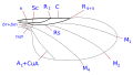 Phoridae wing veins (reduced venation)