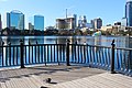 Pigeons at Lake Eola